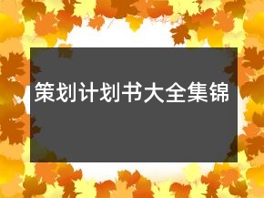 策划计划书大全集锦