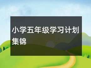 小学五年级学习计划集锦