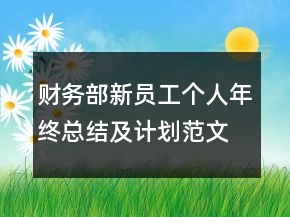 财务部新员工个人年终总结及计划范文