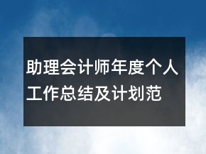 助理会计师年度个人工作总结及计划范文模板