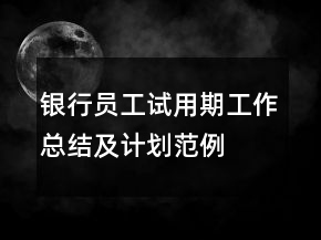 银行员工试用期工作总结及计划范例
