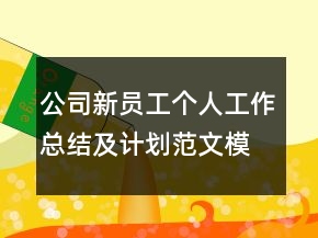 公司新员工个人工作总结及计划范文模板