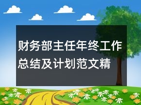 财务部主任年终工作总结及计划范文精选