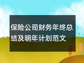 保险公司财务年终总结及明年计划范文精选