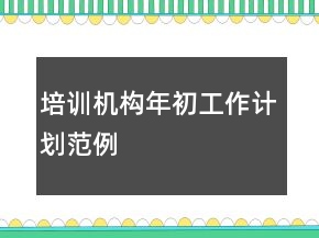 培训机构年初工作计划范例