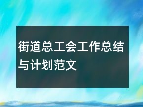 街道总工会工作总结与计划范文