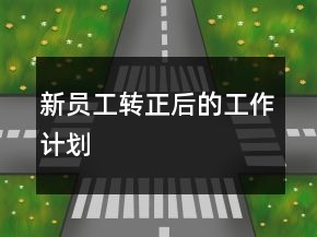 新员工转正后的工作计划