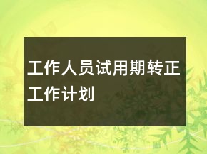 工作人员试用期转正工作计划