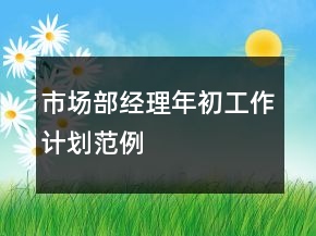 市场部经理年初工作计划范例