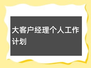 大客户经理个人工作计划