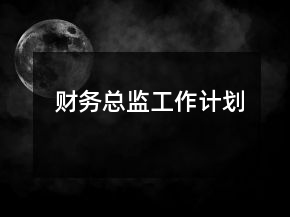 财务总监工作计划