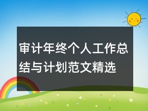 审计年终个人工作总结与计划范文精选