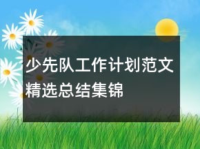 少先队工作计划范文精选总结集锦