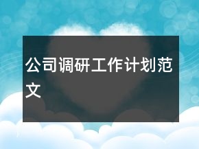 公司调研工作计划范文