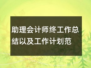 助理会计师终工作总结以及工作计划范文