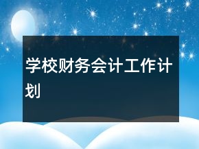 学校财务会计工作计划