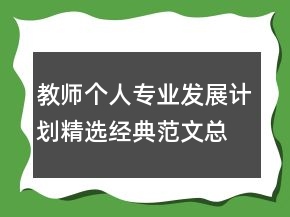 教师个人专业发展计划精选经典范文总结大全