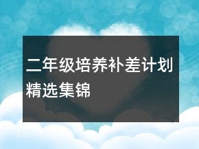 二年级培养补差计划精选集锦