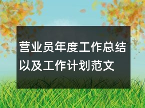 营业员年度工作总结以及工作计划范文