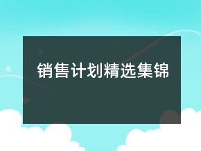 销售计划精选集锦