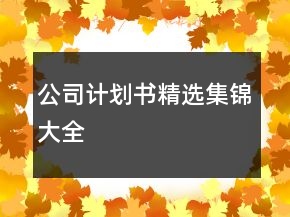 公司计划书精选集锦大全