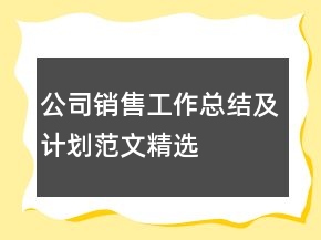 公司销售工作总结及计划范文精选