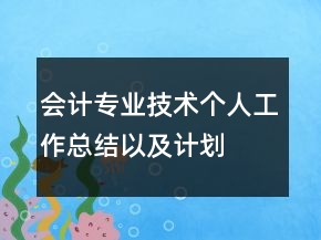 会计专业技术个人工作总结以及计划