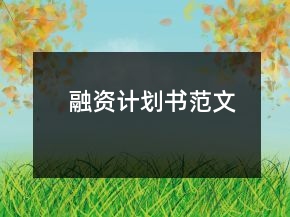 融资计划书范文