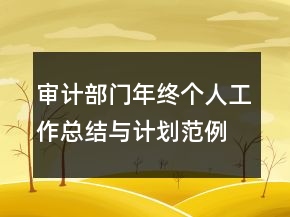 审计部门年终个人工作总结与计划范例