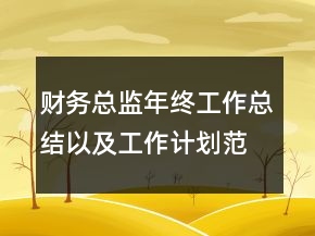 财务总监年终工作总结以及工作计划范文