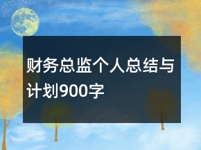财务总监个人总结与计划900字
