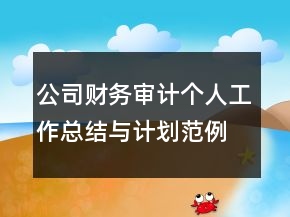公司财务审计个人工作总结与计划范例