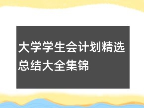 大学学生会计划精选总结大全集锦