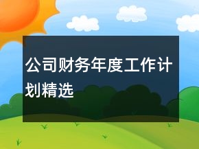 公司财务年度工作计划精选