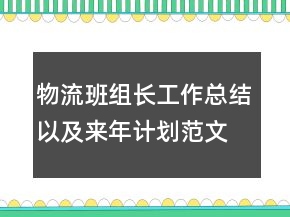 物流班组长工作总结以及来年计划范文