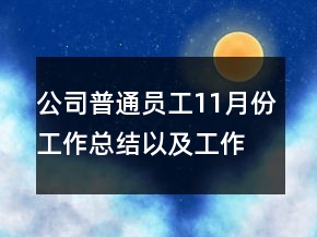 公司普通员工11月份工作总结以及工作计划范文