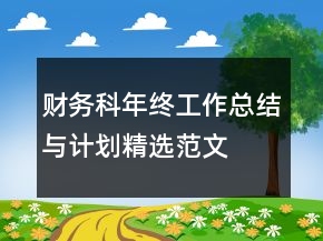 财务科年终工作总结与计划精选范文