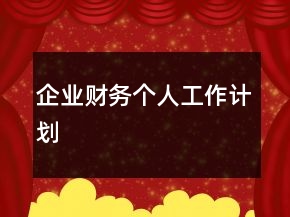 企业财务个人工作计划