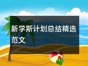 新学斯计划总结精选范文