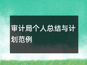审计局个人总结与计划范例