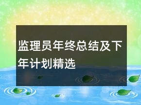监理员年终总结及下年计划精选