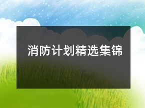 消防计划精选集锦