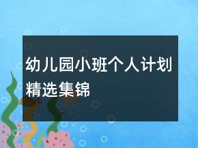 幼儿园小班个人计划精选集锦