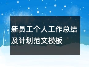 新员工个人工作总结及计划范文模板
