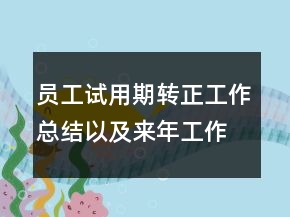 员工试用期转正工作总结以及来年工作计划范文