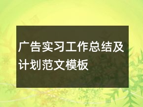 广告实习工作总结及计划范文模板