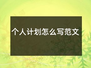 个人计划怎么写范文