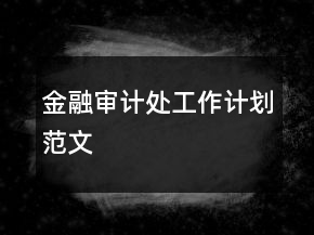 金融审计处工作计划范文