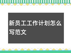 新员工工作计划怎么写范文