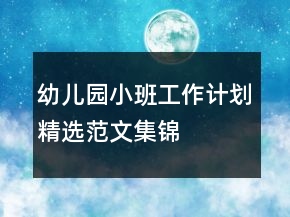 幼儿园小班工作计划精选范文集锦